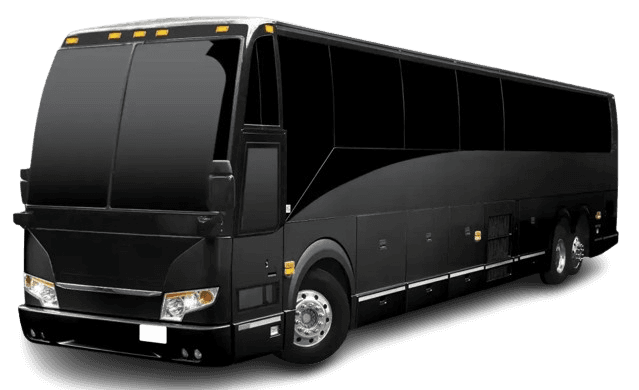 Luxury Buses